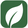 SlowStem