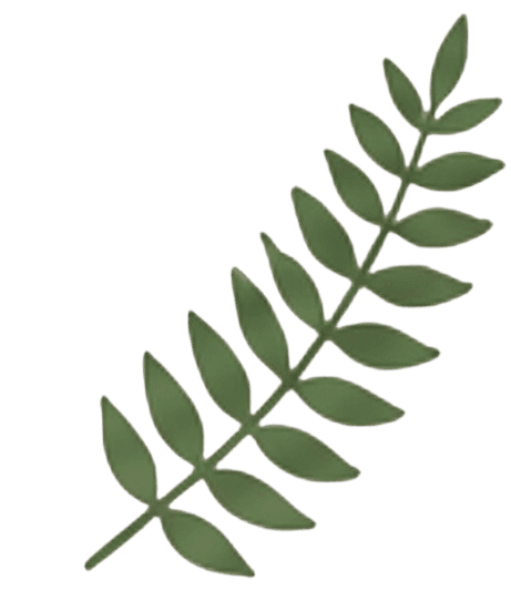 big plant